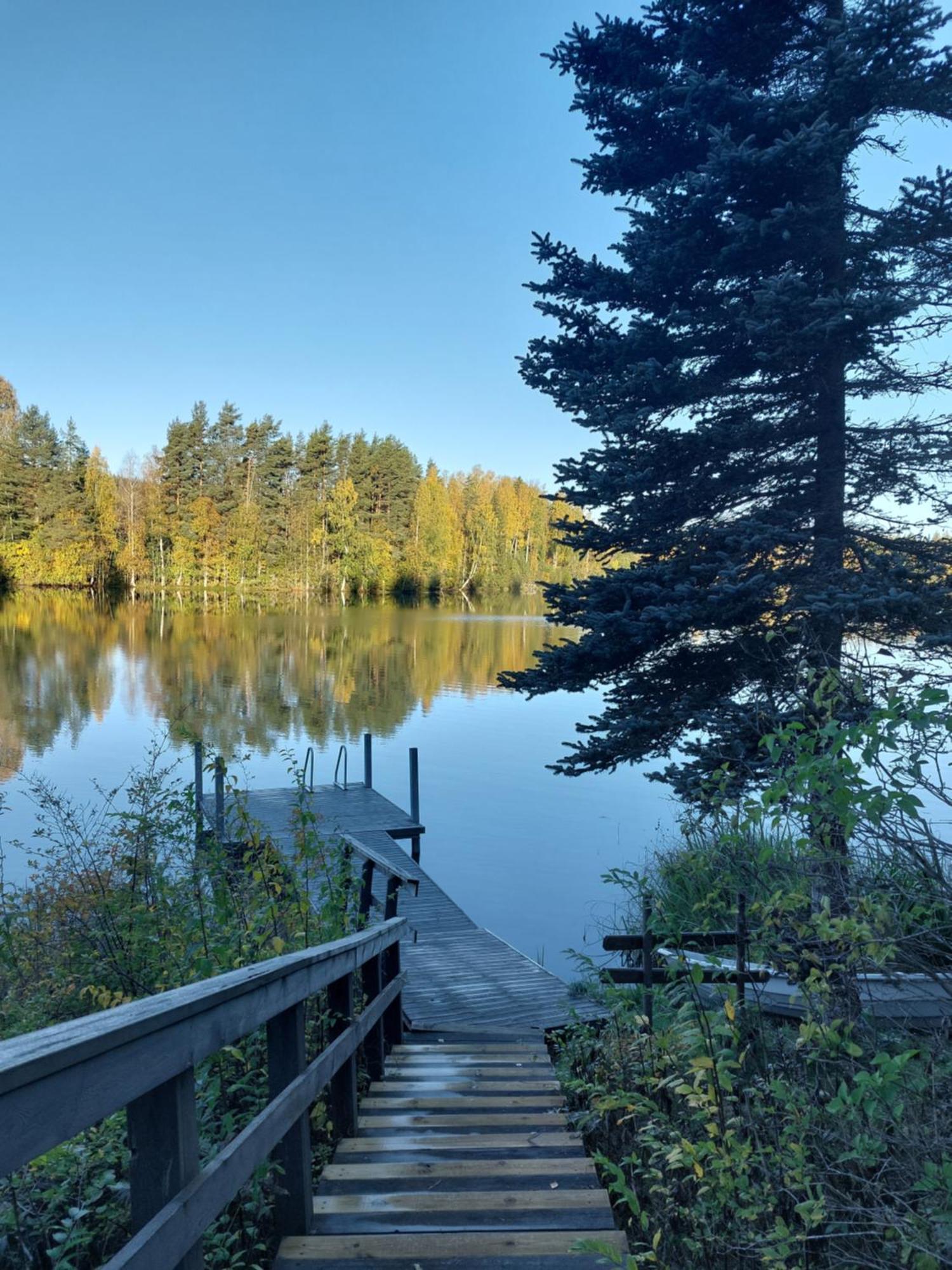 Vuorenhelmi Rutalahti