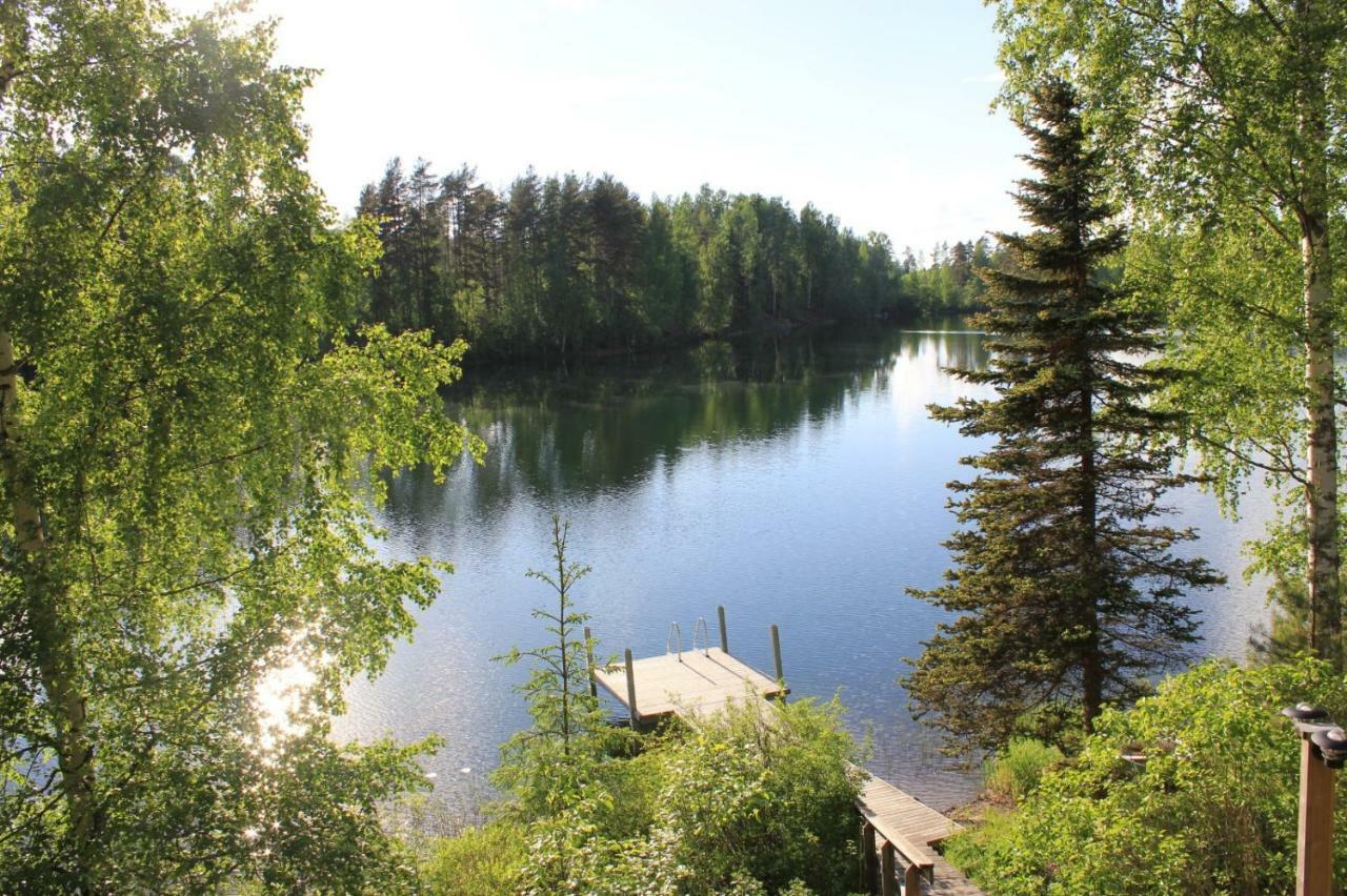 Vuorenhelmi *